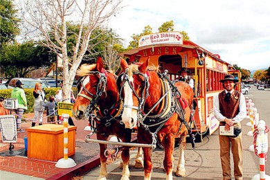 ˹ŵ·: [12] Ŀѡ4+ʤ+ɽɽ+ƻܲ|3˹ά˹ѡϿ/Ͽ/Ѩ