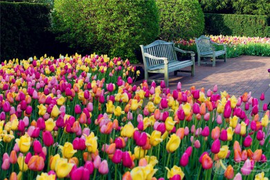 Ъ·: [3] ˹+°סլ+ţ+ʾ+ܲ+|