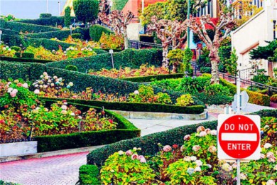 ÷·: [1Ź·֮6-] ɽɽ+ɼ+ʥŰ+1Ź·+ׯ+Ϲű++17 |˽Ұ