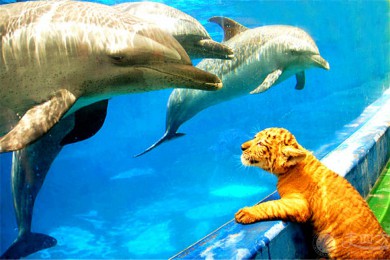 ̹·: [2] +˹+ˮ+̹|뺣ܽӴ֮