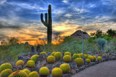 ·: [Ͼ޻+ɽɽ7] ˳+Ѩ+ʮ壬4Сʱʤ|Ʒʳѡ