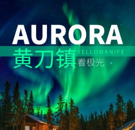 Ƶ·: [ôƵ4]֮|ƤӪعͼ׷Լ+عѩ