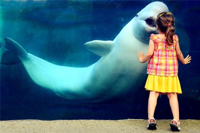 ˿·: [ɫ3] ɯѵ+ɽׯ+é˹+ˮ|Сΰ˿У