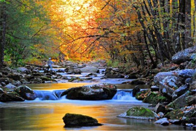 ·: [ͷ2] ɽҹ԰+ӹ+̩̹˲+׵¹С|̽ôɽ ȫѵ֮һ ȫĹҹ԰