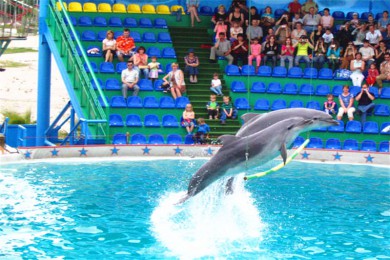 ɯ·: [8] ԰־ѡֳ棺Ӱ+ðյ+ʿħ++