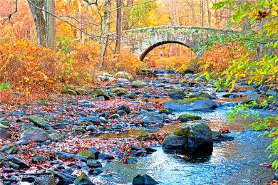 ˹·: [С7-] ŦԼ+ʢ+Ǽٲ+˹+¹԰+˷|˽Ұ