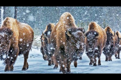 ݺ·: [˽Ұ 6]ʯҹ԰ܿѷ+߽¹+ٹҹ԰+ѩɽׯ