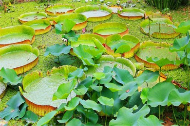 ³·: Ұ4Ρ˹+ѷ֣סѷСľȻ鲿ѷ | ԭʼҰ֮