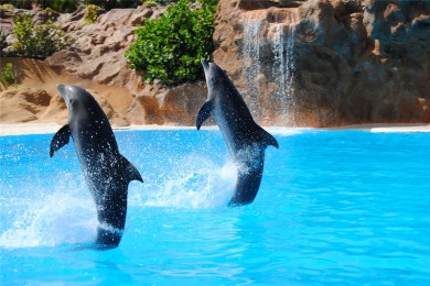 ·: [໥1] Ƶݺ໥Ŀ &Venturaˮ԰