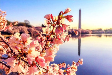 ߹԰·: [12˵ľƷС 6 ]  ŦԼ+ѳ+ʢ+Ǽٲ+ʿ