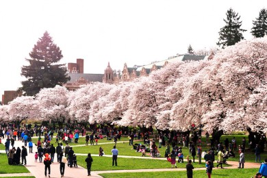 ·: [ͼѡ 2 ֮]ͼ/ѩɽ/ƥ˹ҹ԰/¹С/һѡ