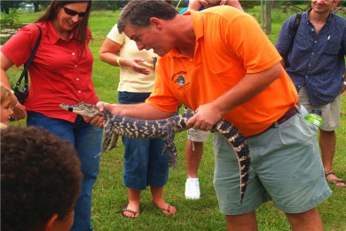 ʯ꾮·: [굹8] ̽+ׯ԰+ʴͳԲͣ++굹|ʳ