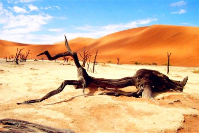 űȾԺ·: [ֵ5] ɼ+˹ά˹+ȹҹ԰+ϿԵԵ|ǹ