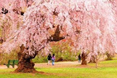 ·: [ôȻ6-] ¸绪+¶+Ӣ+ܽҹ԰+ɯŮ԰+ʷ԰+Ī|˽Ұ