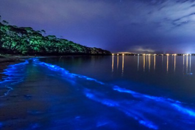 ʥϳ·: [5] C+ӫ+̨|Ǳ꣬ȫڶ̲Ѩϵͳ