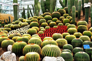 ʥ·: [8] ɽɽ+ʤ+ɼ+˹/Ͽ/Ͽ/Ѩ4ѡ2+|ƻܲ䲮