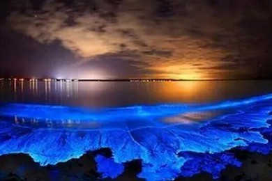 ʥϳ·: [6] ӫ+ʥϳ+CǱ+̨|14Ǻ̲Ƶ꣬1