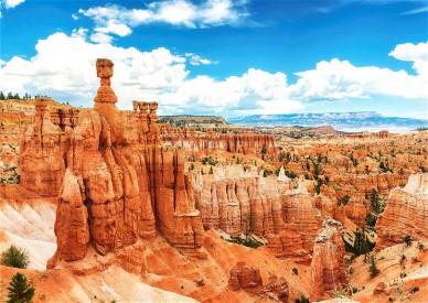 ../static/picture/detail_39_5db37c3b1bb921.jpg