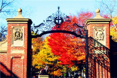 ʯ·: [5] ʿ+é˹+ɽׯ+ɽɭ+|λʢɽιժƻ