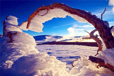 Ϻ·: [12] ʯѩʵȪҸ߽¹˹ҹ԰| ѡī