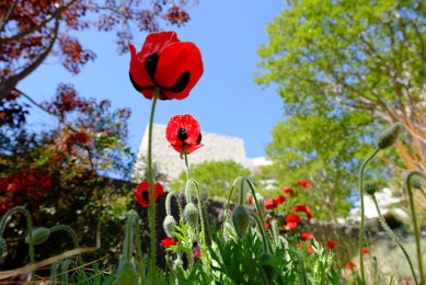 ݿѧ·: [ѧ֮̽1] ݿѧ+ǵ+˹̨ |˽Ұ