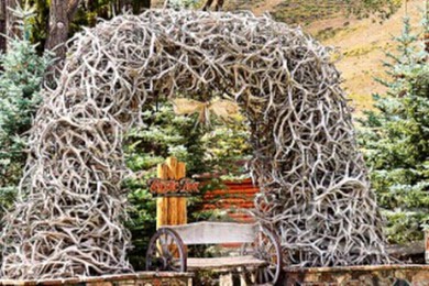 ˸·: [ȫ8] ͼ+4ҹ԰ʯ++¹+ƥ|۽ܿѷ¹ǹ԰οƴ׺