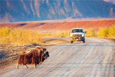 ·: [Խΰ˹ļ1] | ½·ԽȦ+պ+ٹ·|֮̽