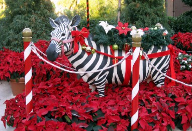 ʿ԰·: [2018ɫ] Ѱ·¸Ǻ̲ůʢ