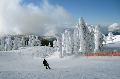 ¸绪·: [ôѩ泩֮6-] ¸绪+ѩϷɵ/ѩЬ+ɽѩ+ҹ԰|˽Ұ