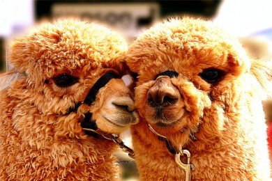 ʯ·: [7] ɯѵ+ɽɭ++é˹+ʿ|ɽׯ