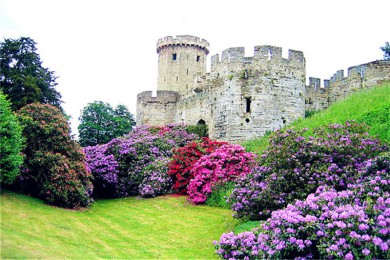 ׶·: [6] µ׶+յ+Ǳ+ոߵ++Լ|Ӣ׷