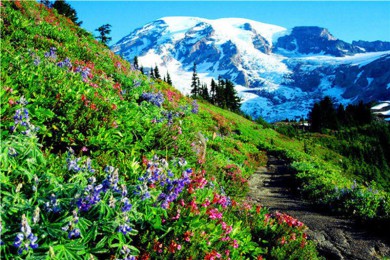 ·: [ͼ˫] ɽ-ƥ-¹壬˰ιС׹ݣƵ