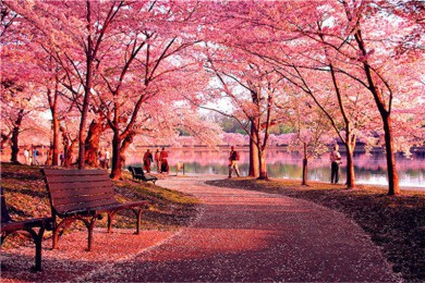 ʢӣ·: [Ȥ2] ʢ+ɿ+˹+С˹|β˺ӾӣʢƷζɿ