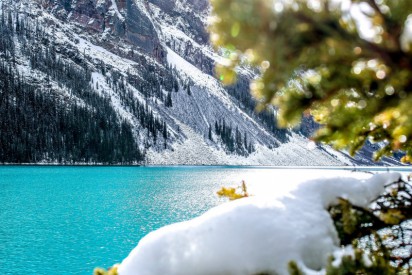 ../static/picture/detail_43_5d77f272673962.jpg