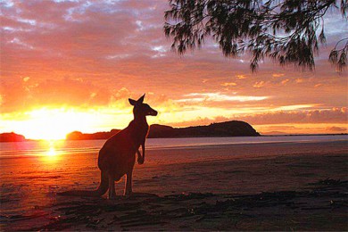 ˹·: Ĵǳֵ6Ρƽ𺣰+ױ԰+ũׯ+Σս+λ+ȴ֮