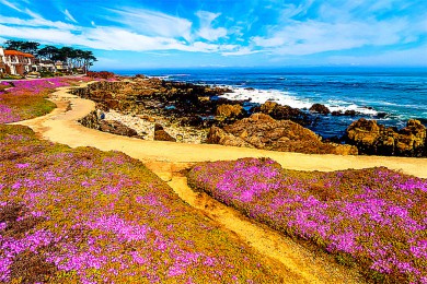 ͷ·: [4] ɽɽ;ѽͻи|㱥