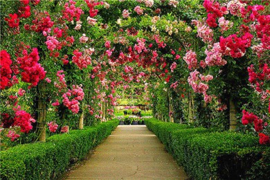 ҹ԰·: [8] ¸绪/ά/˹3ѡ24ҹ԰ܽ+˹+ź+|סܽԭѩ