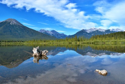 ../static/picture/detail_45_5d97d77345e941.jpg