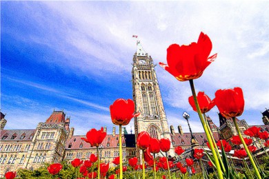 ·: [ѡ9] תʡǧųǿˣǼٲ|*6󾰵Ʊ2