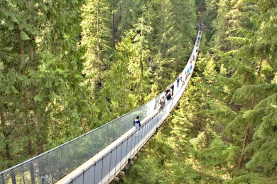 ¸绪·: [ô󶬼ﾫ7-] ¸绪+ɽѩ+ɯŮʹ԰+ҹ԰+乫԰|˽Ұ