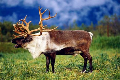 ׾·: [ͷ7] +ջ+ɽ+ݵٶ+ֵ+Ѷ˹ | תغ½ ̽òһİ˹ļ