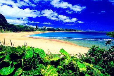 ·: [Ŀɰ1]Ͽ+ɽ+ܻ԰|VIPž쾰ɫ