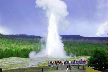 ../static/picture/detail_48_5d004323a27921.jpg