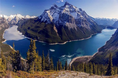 Ƶ·: [7] ܽ+·˹++Ƶ׷ | Ȫ ׷ټ ֮