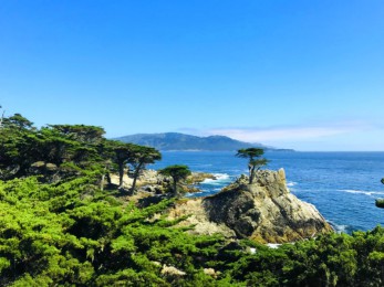 ·: [ɽɽɼ5]ɽɽ+ʤعҹ԰+17+ɼ