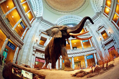 ·: [2] ŦԼ+ʢ++Ȼʷ++ʢٶ԰|Ѳ