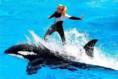 ·: [ʥǸ羫Ʒ1]ʥǸ+