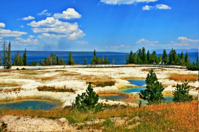 ָ԰·: [׳12] Ȼʯ+Ѩ+Ͽ+˹Ͽ+˹ά˹|Ŀѡ2