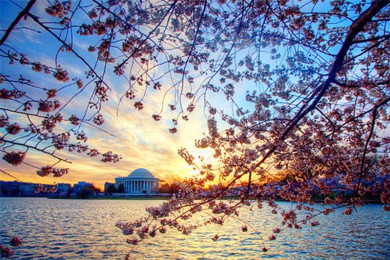 ʢӣ·: [ʢӣһ] ʢٹӣʤؽѷãͲ˺ӣʢ|ɫ֮