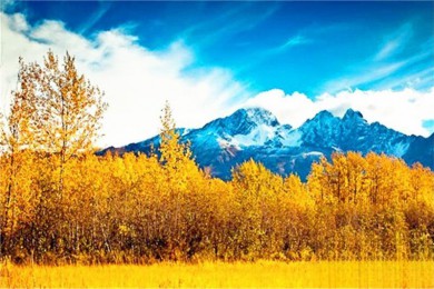 ·: [1ιŽӸ] ݵٶ++Ұﱣ+̹ɸ+԰+ֽӸ|Ѱΰ˹